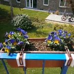 Haus Steinbach Pensjonat Kellenhusen