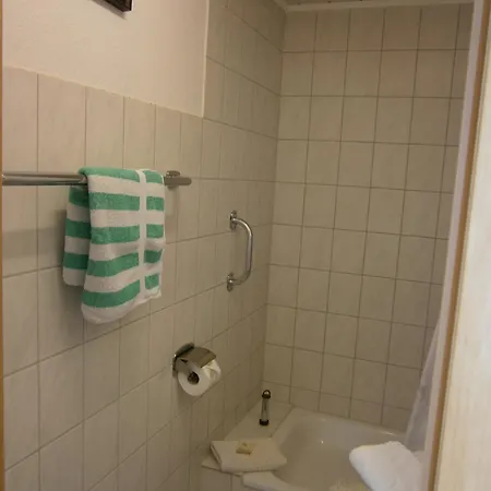 Haus Steinbach 招待所 3*